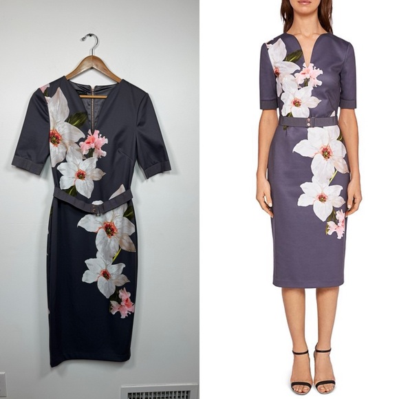 Ted Baker Dresses & Skirts - Ted Baker Bisslee Chatsworth Sheath Dress Size 1‎